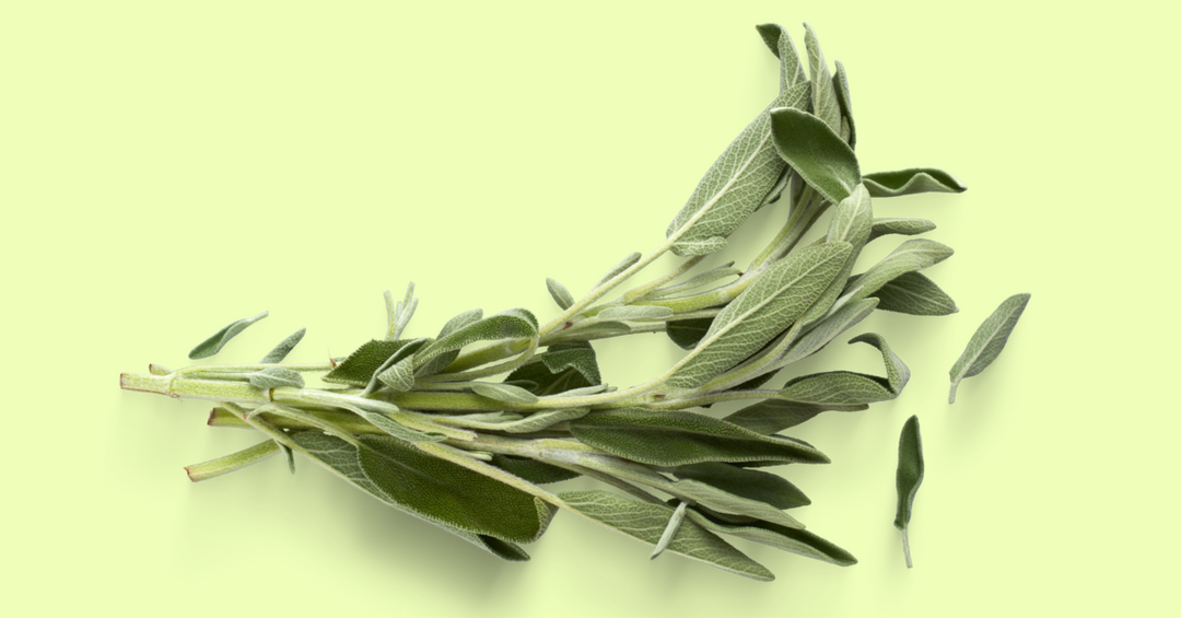 7 Reasons to Love the Scent of Sage