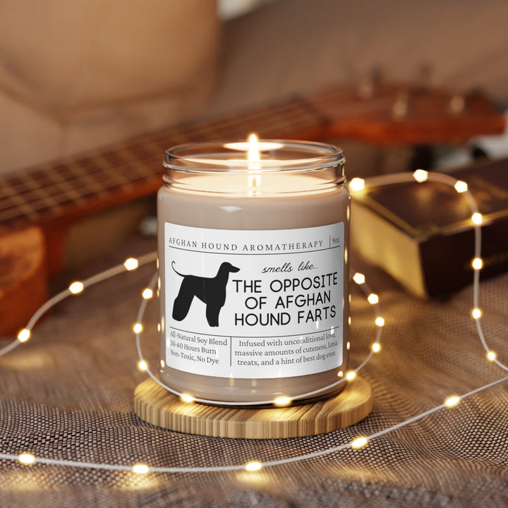 Afghan Hound Candle - Smells Like The Opposite Of Afghan Hound Farts