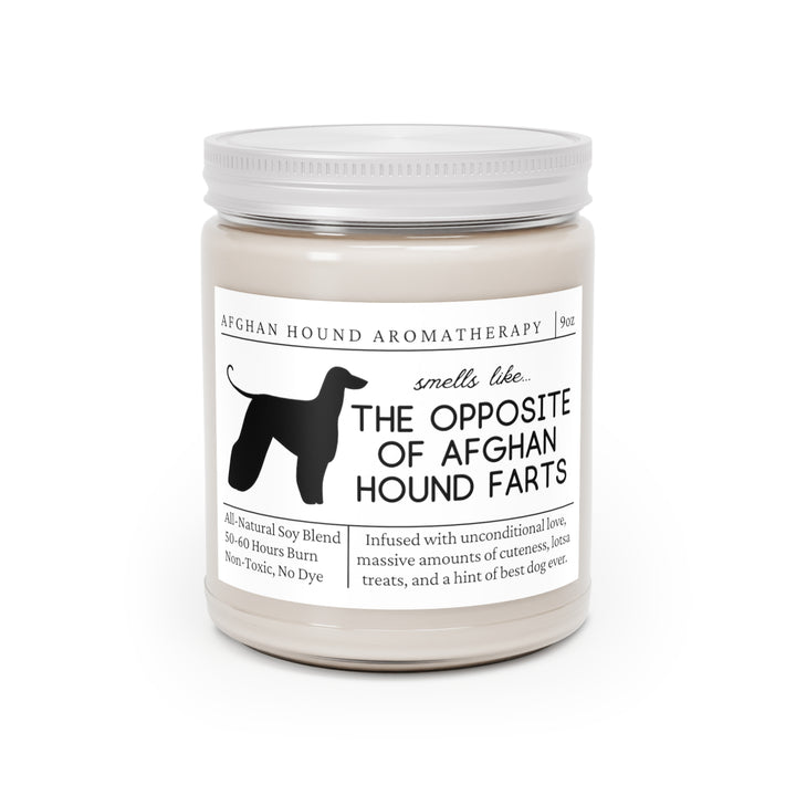 Afghan Hound Candle - Smells Like The Opposite Of Afghan Hound Farts