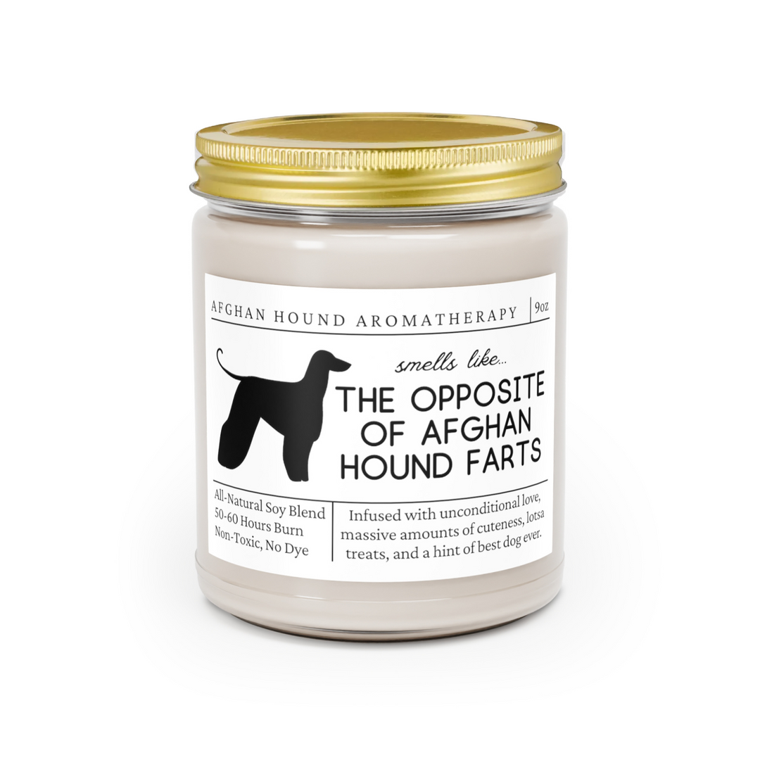 Afghan Hound Candle - Smells Like The Opposite Of Afghan Hound Farts