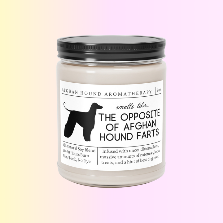 Afghan Hound Candle - Smells Like The Opposite Of Afghan Hound Farts