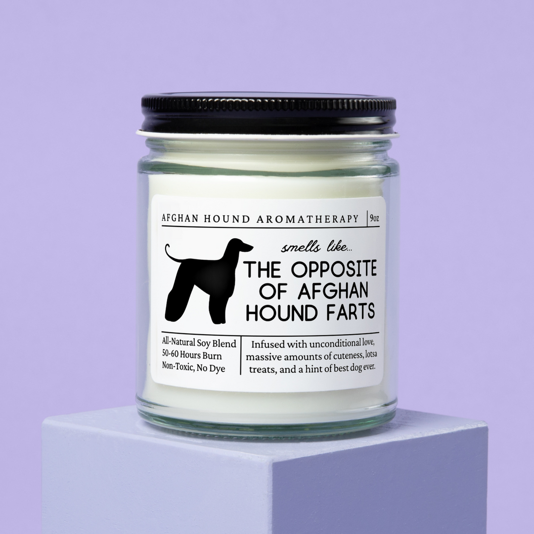 Afghan Hound Candle - Smells Like The Opposite Of Afghan Hound Farts