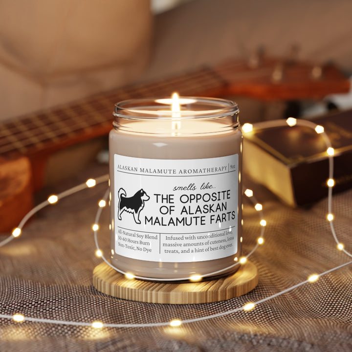 Alaskan Malamute Candle - Smells Like The Opposite Of Alaskan Malamute Farts