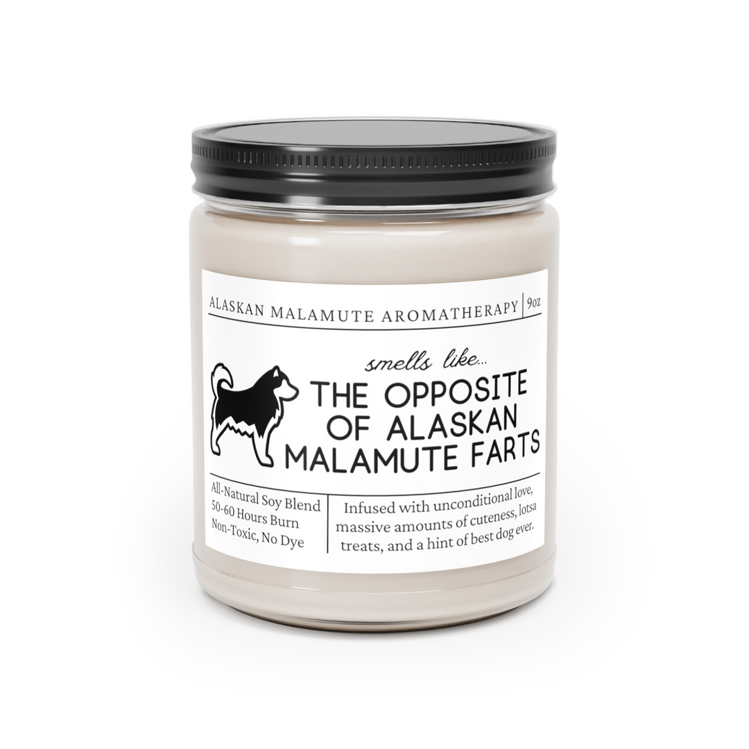 Alaskan Malamute Candle - Smells Like The Opposite Of Alaskan Malamute Farts