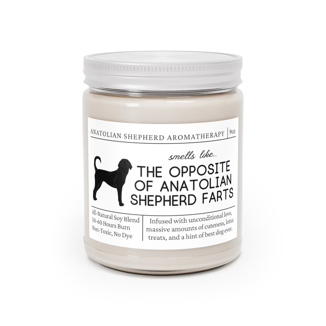 Anatolian Shepherd Candle - Smells Like The Opposite Of Anatolian Shepherd Farts