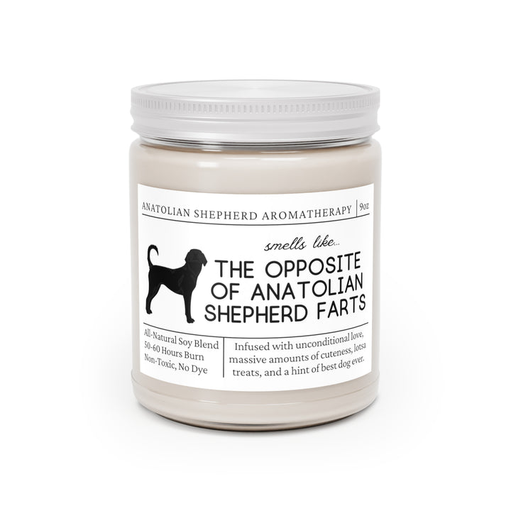 Anatolian Shepherd Candle - Smells Like The Opposite Of Anatolian Shepherd Farts