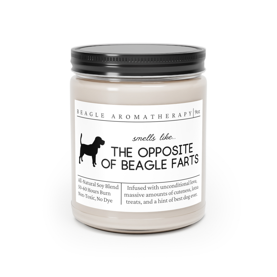 Beagle Candle - Smells Like The Opposite Of Beagle Farts