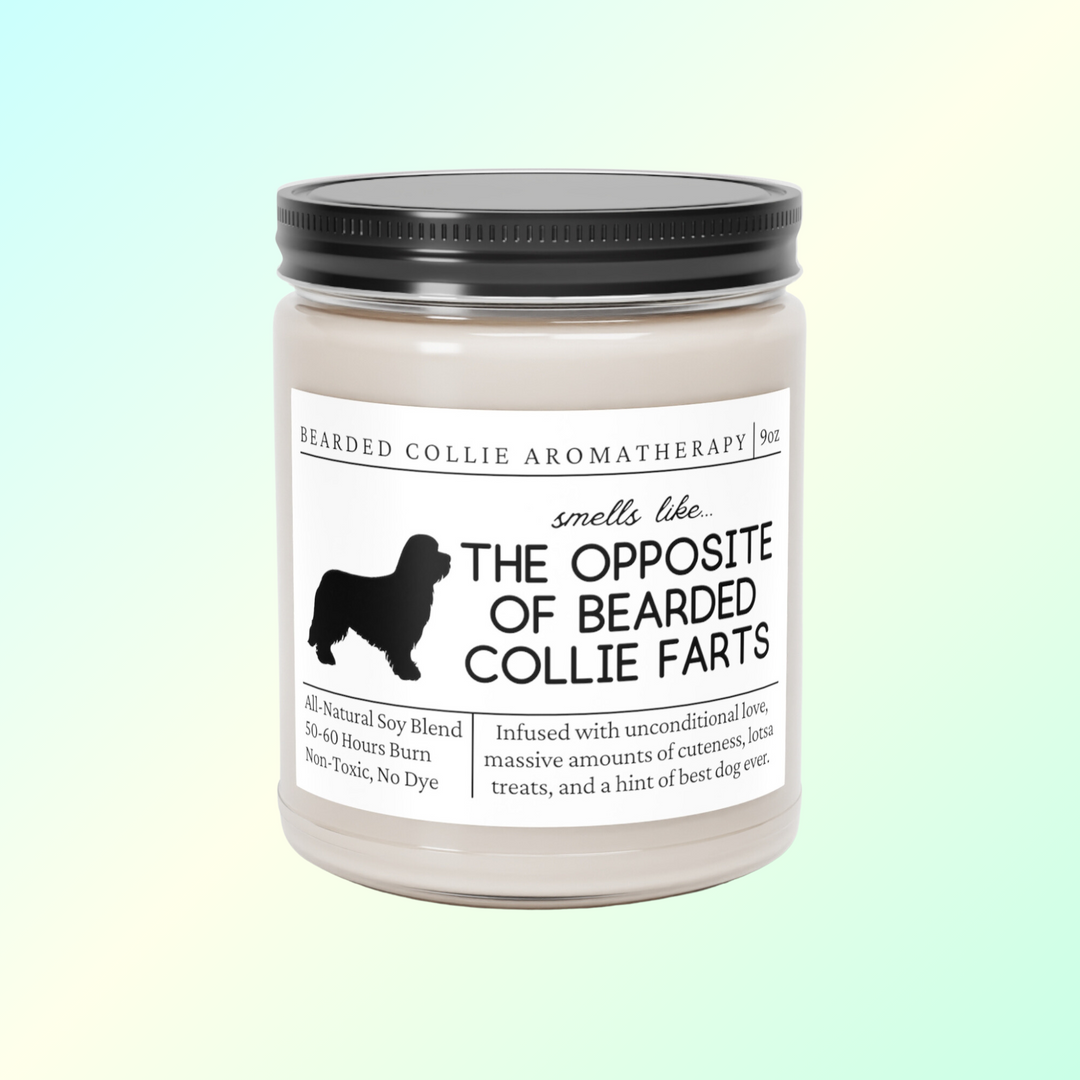 Bearded Collie Candle - Smells Like The Opposite Of Bearded Collie Farts