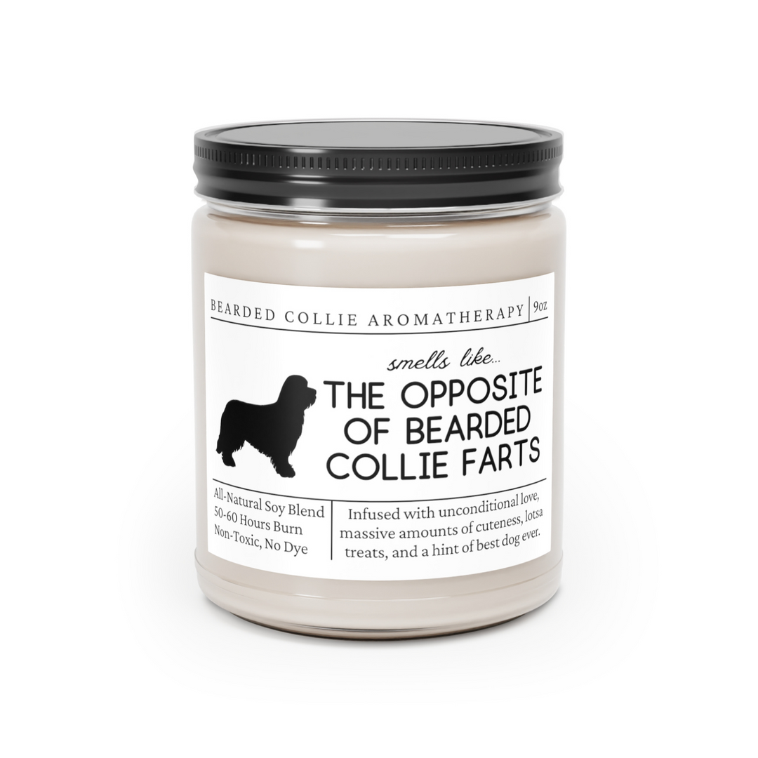 Bearded Collie Candle - Smells Like The Opposite Of Bearded Collie Farts