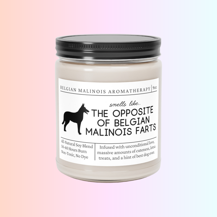 Belgian Malinois Candle - Smells Like The Opposite Of Belgian Malinois Farts