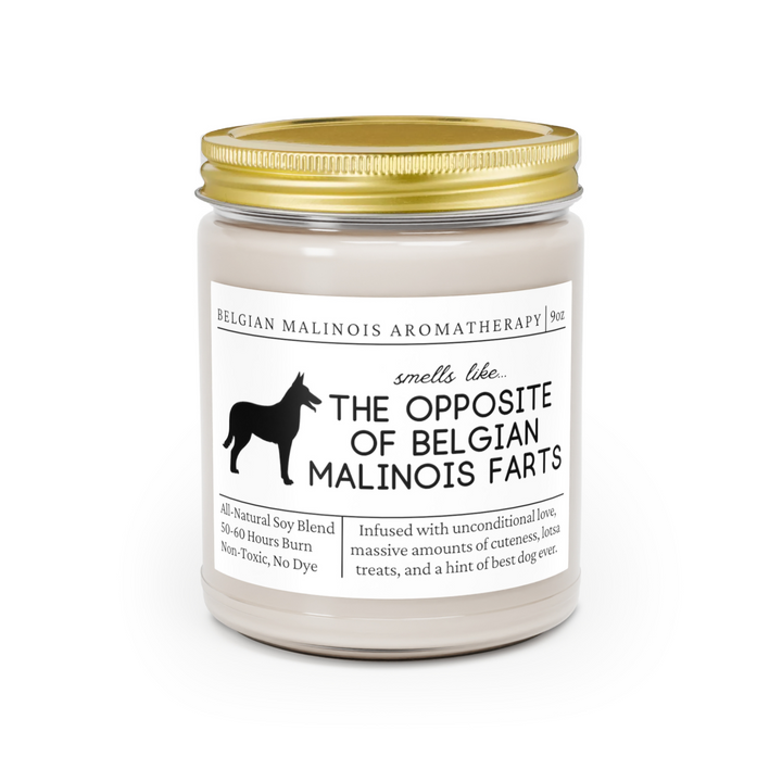 Belgian Malinois Candle - Smells Like The Opposite Of Belgian Malinois Farts