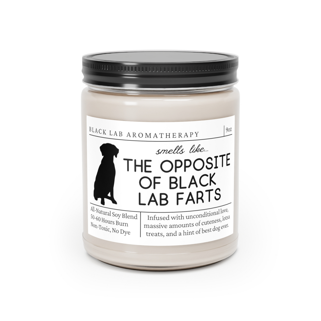 Black Lab Candle - Smells Like The Opposite Of Black Lab Farts