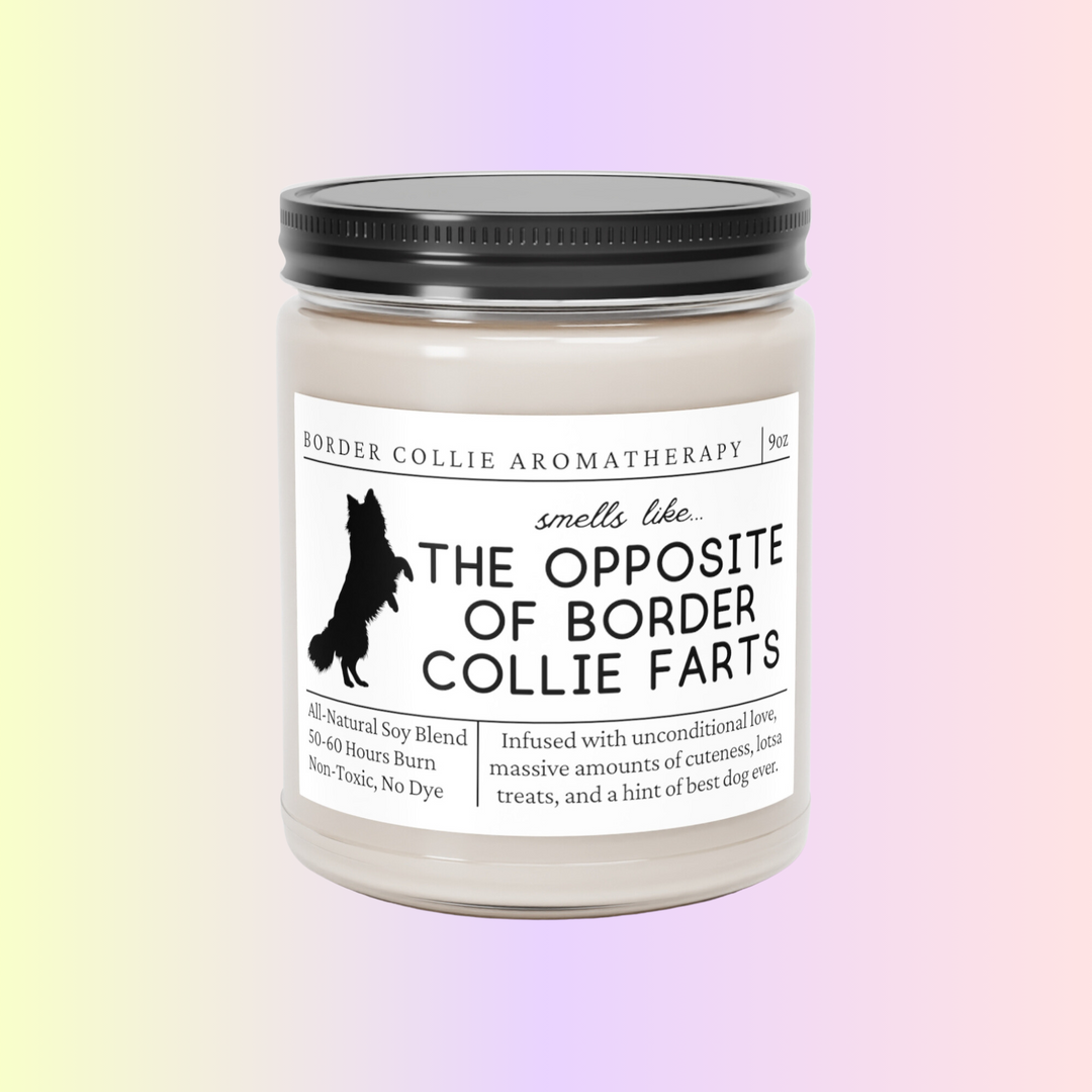 Border Collie Candle - Smells Like The Opposite Of Border Collie Farts