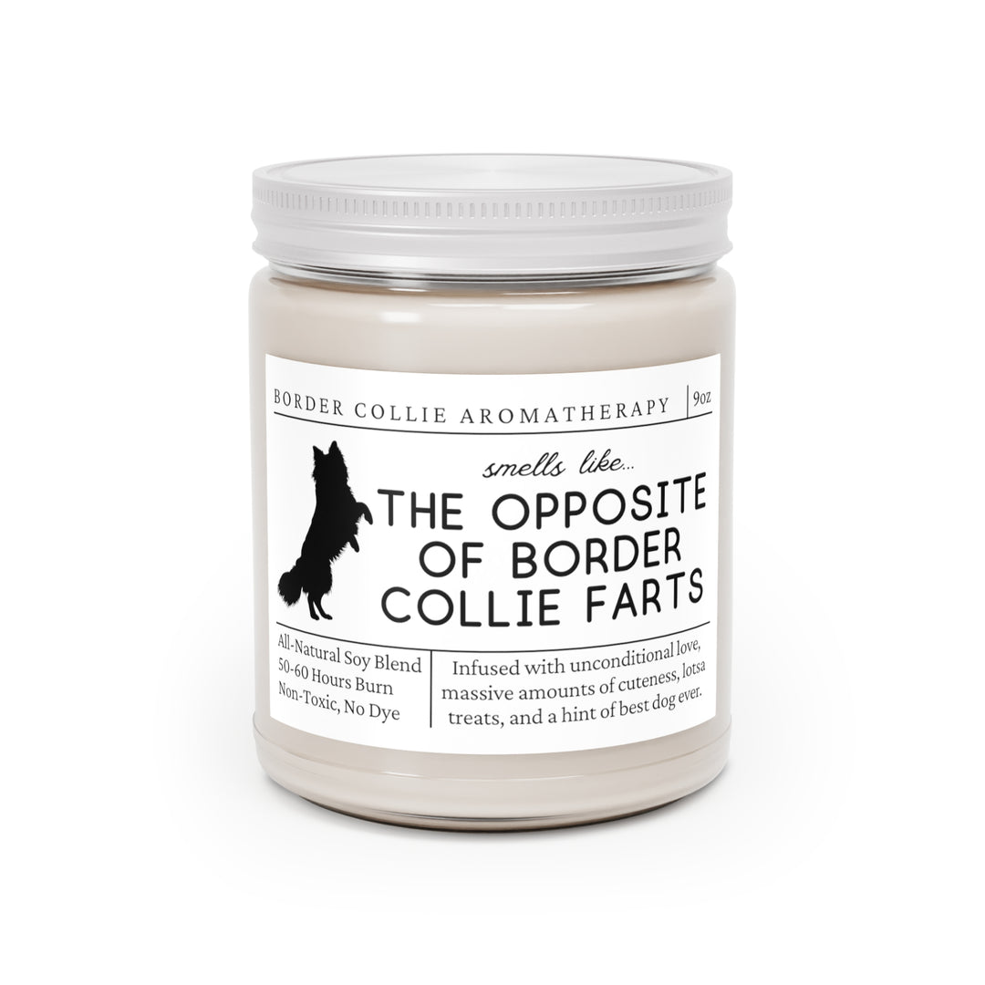 Border Collie Candle - Smells Like The Opposite Of Border Collie Farts