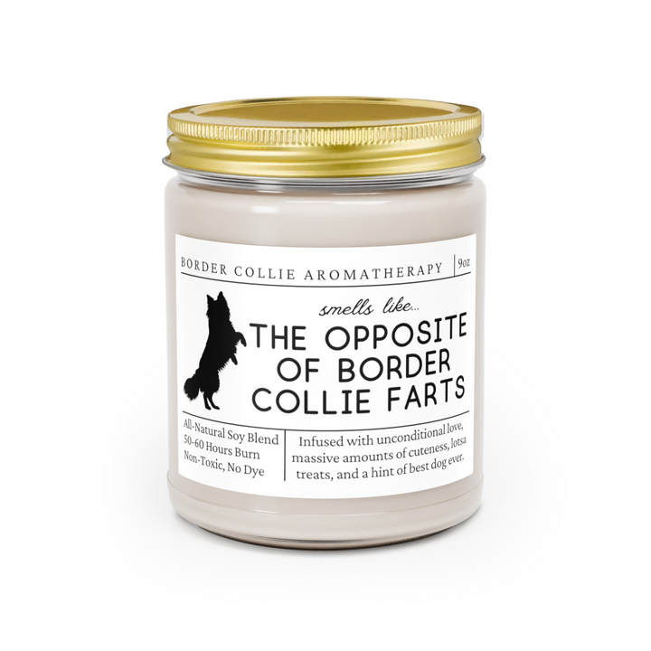 Border Collie Candle - Smells Like The Opposite Of Border Collie Farts