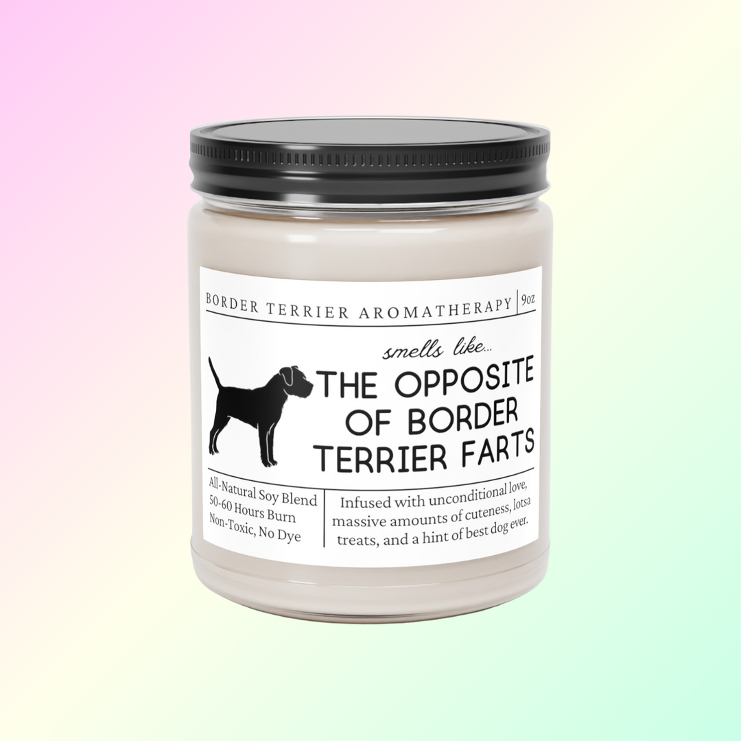 Border Terrier Candle - Smells Like The Opposite Of Border Terrier Farts