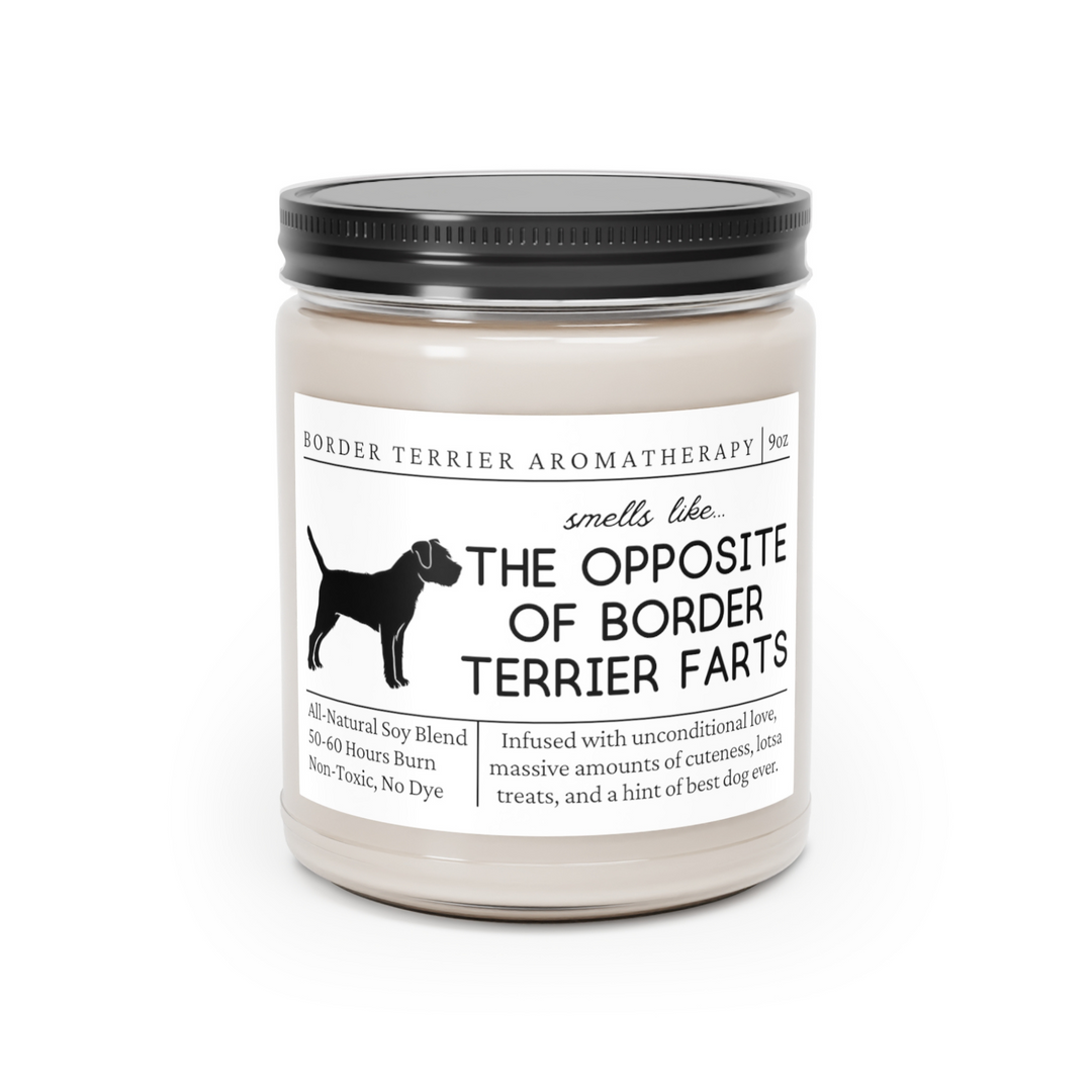 Border Terrier Candle - Smells Like The Opposite Of Border Terrier Farts