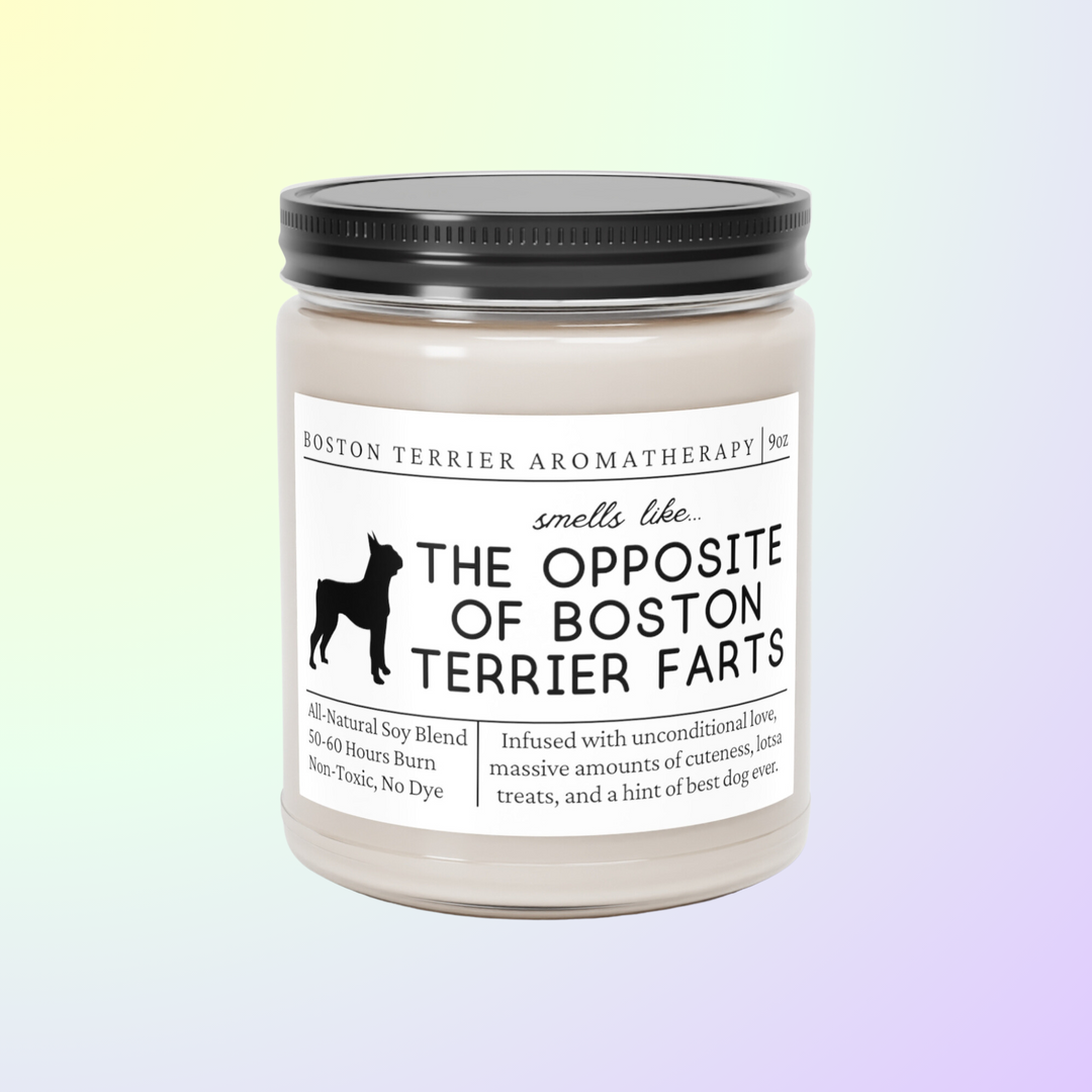 Boston Terrier Candle - Smells Like The Opposite Of Boston Terrier Farts