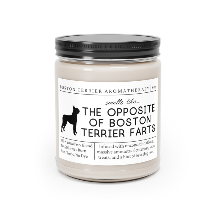 Boston Terrier Candle - Smells Like The Opposite Of Boston Terrier Farts