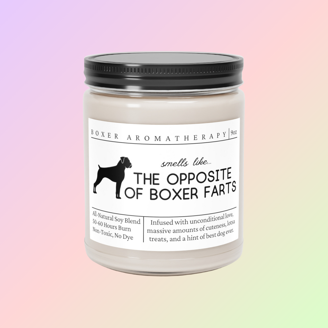 Boxer Candle - Smells Like the Opposite of Boxer Farts