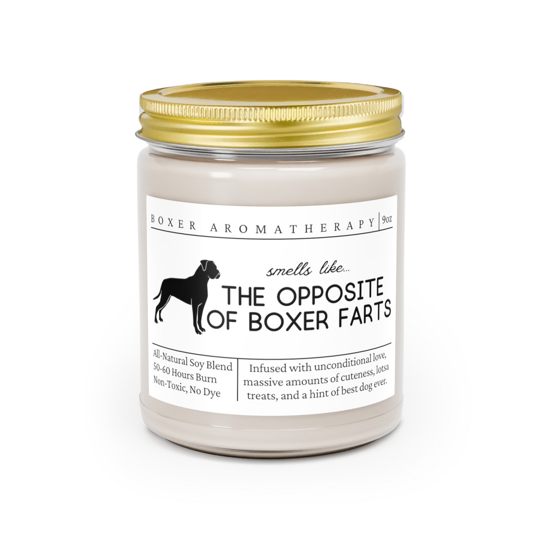 Boxer Candle - Smells Like the Opposite of Boxer Farts