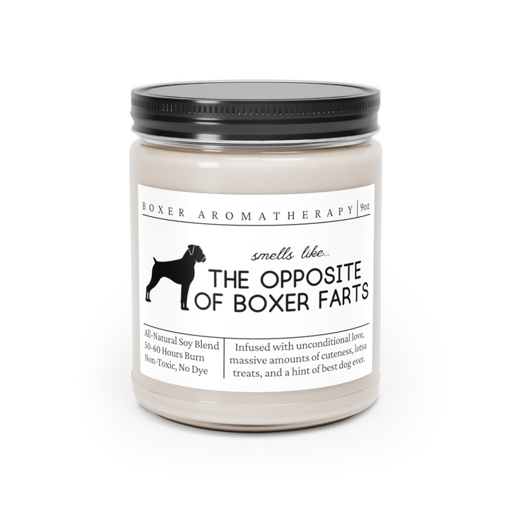 Boxer Candle - Smells Like the Opposite of Boxer Farts