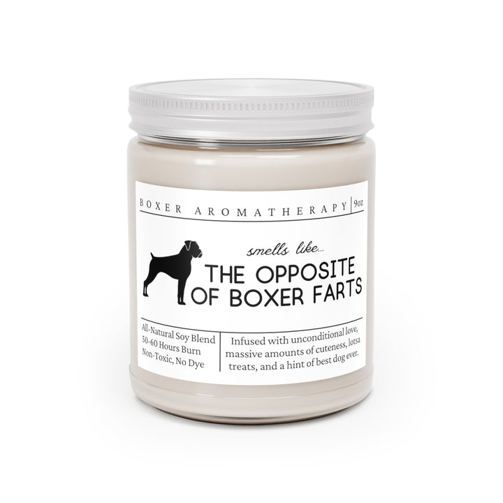 Boxer Candle - Smells Like the Opposite of Boxer Farts