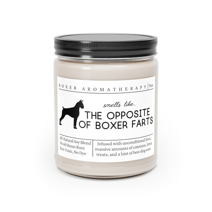 Boxer Candle - Smells Like the Opposite of Boxer Farts