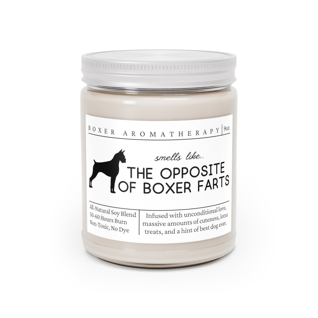 Boxer Candle - Smells Like the Opposite of Boxer Farts