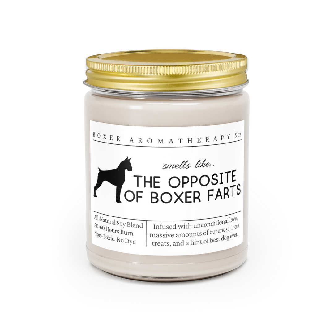 Boxer Candle - Smells Like the Opposite of Boxer Farts