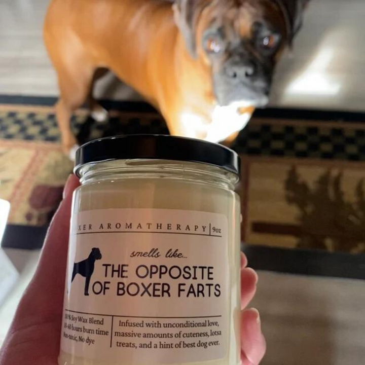 Boxer Candle - Smells Like the Opposite of Boxer Farts