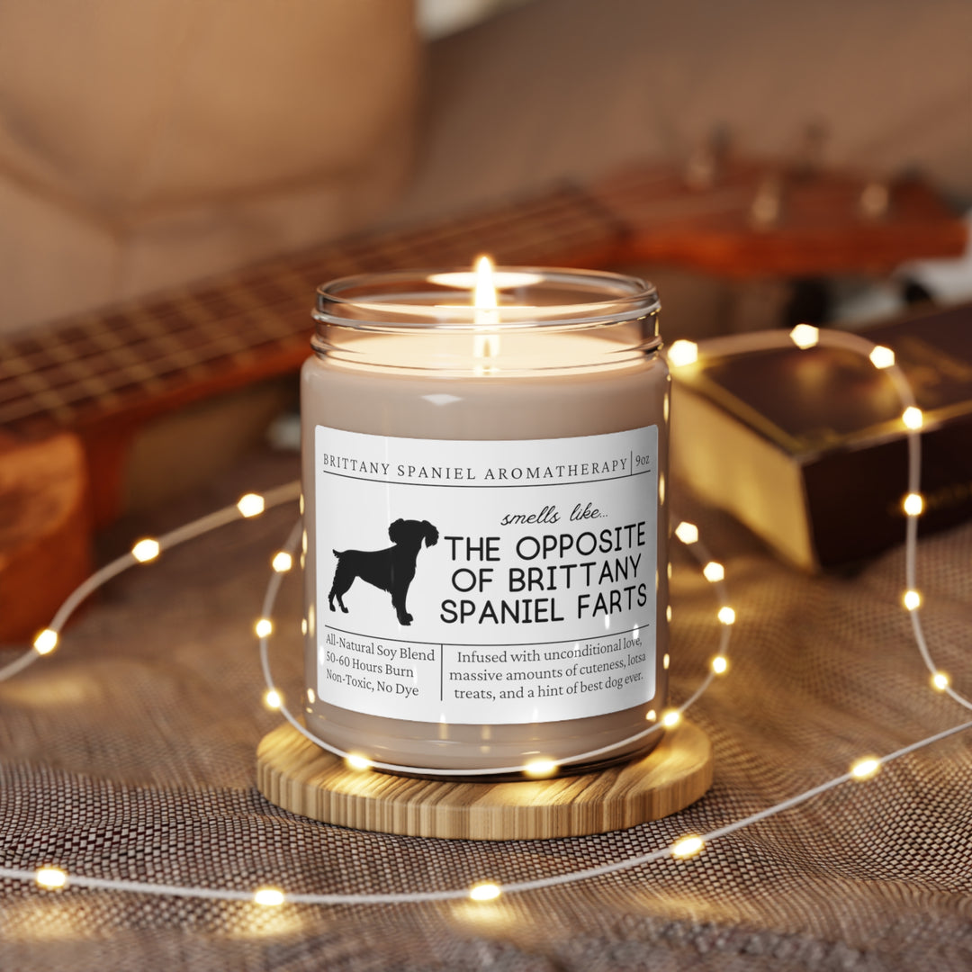 Brittany Spaniel Candle - Smells Like The Opposite Of Brittany Spaniel Farts