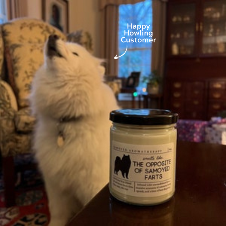 Samoyed Candle - Smells Like The Opposite Of Samoyed Farts