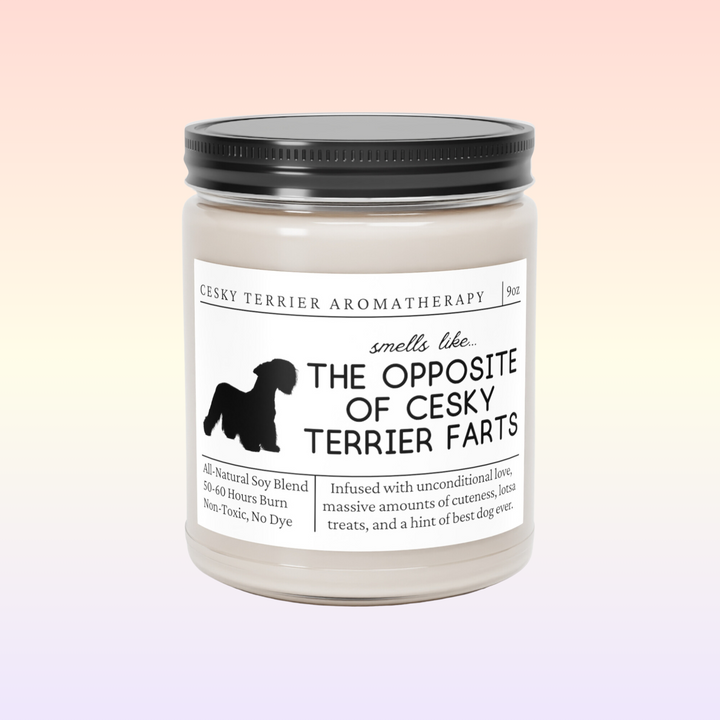 Cesky Terrier Candle - Smells Like The Opposite Of Cesky Terrier Farts