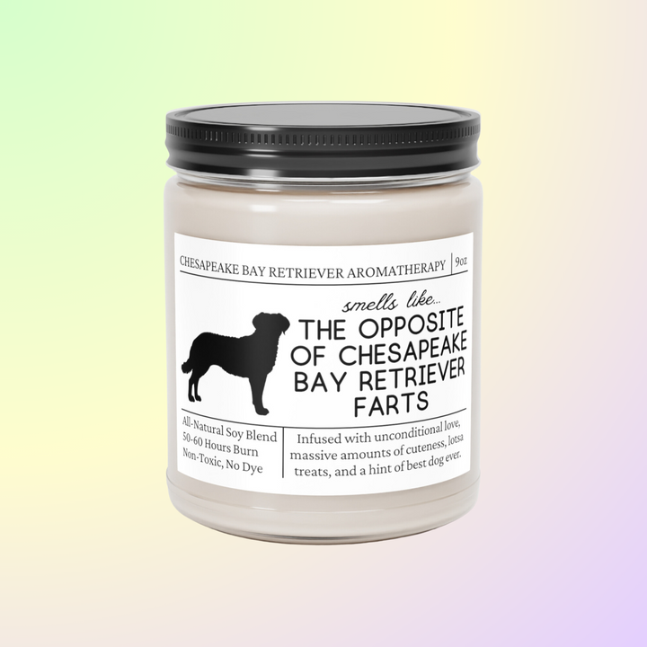 Chesapeake Bay Retriever Candle - Smells Like The Opposite Of Chesapeake Bay Retriever Farts