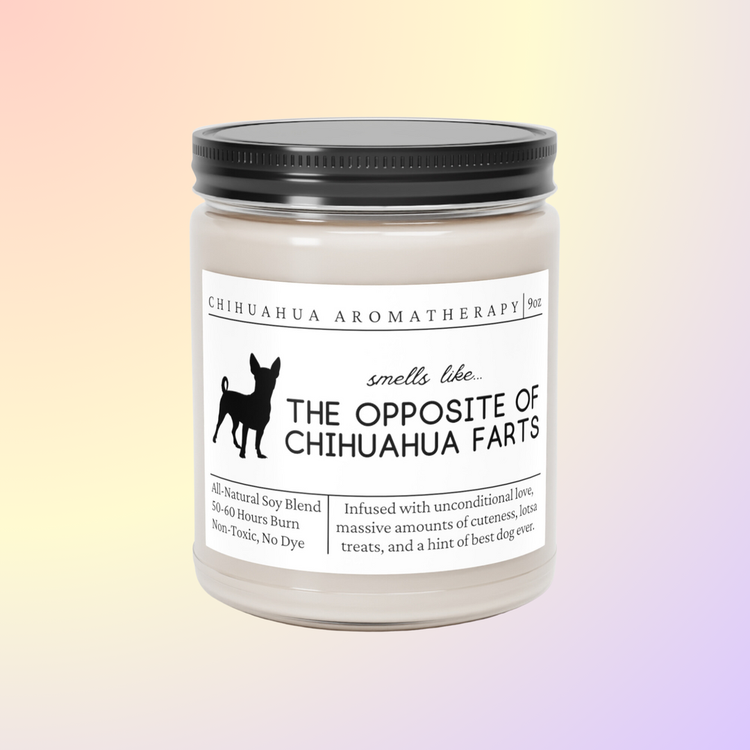 Chihuahua Candle - Smells Like The Opposite Of Chihuahua Farts