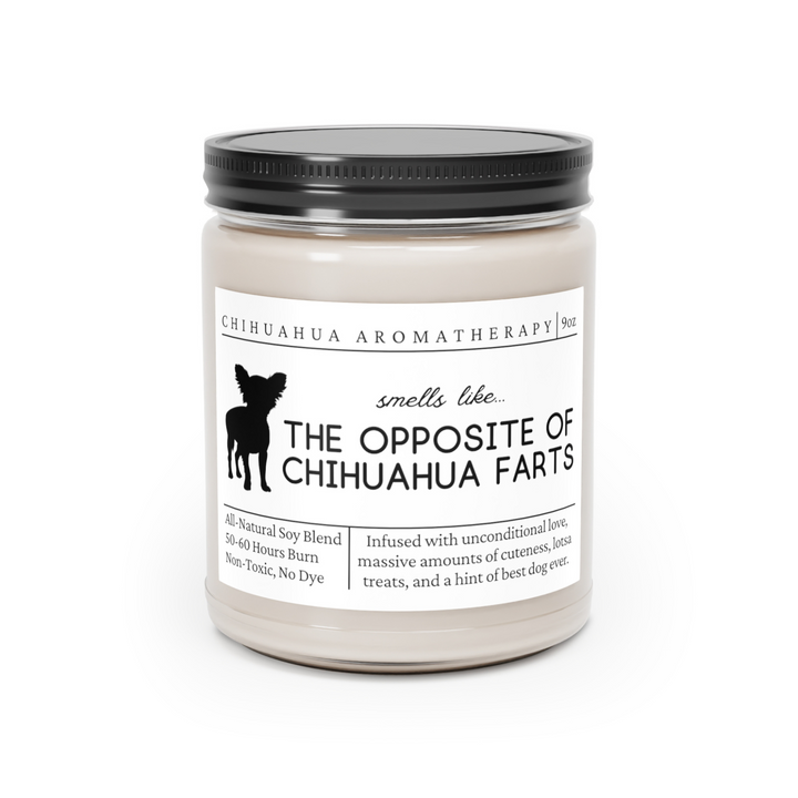 Chihuahua Candle - Smells Like The Opposite Of Chihuahua Farts