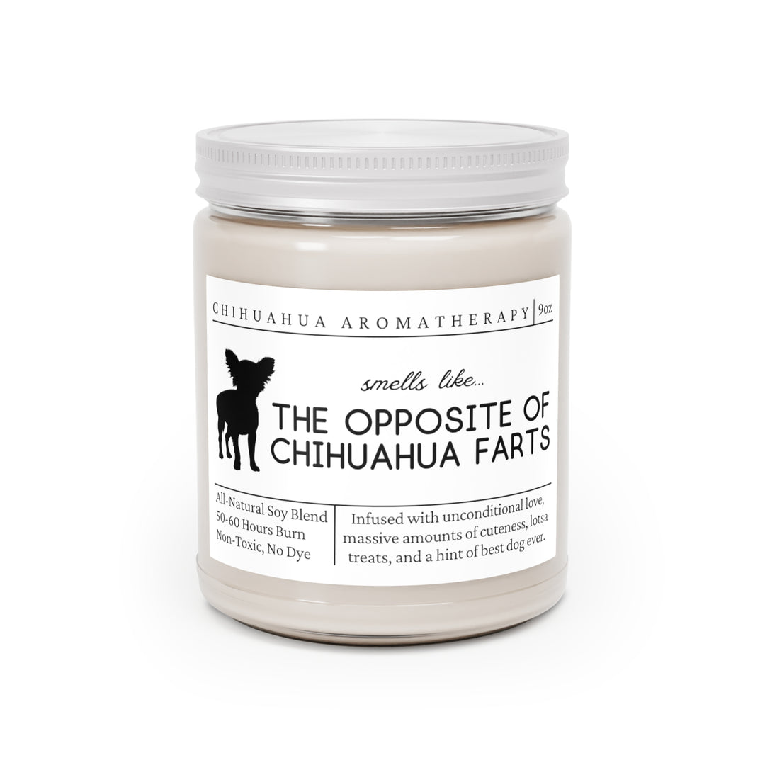 Chihuahua Candle - Smells Like The Opposite Of Chihuahua Farts