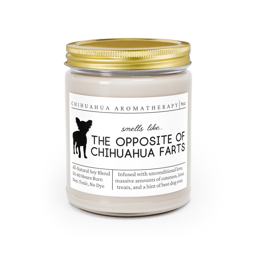 Chihuahua Candle - Smells Like The Opposite Of Chihuahua Farts