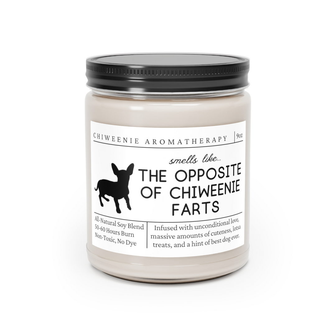 Chiweenie Candle - Smells Like The Opposite Of Chiweenie Farts