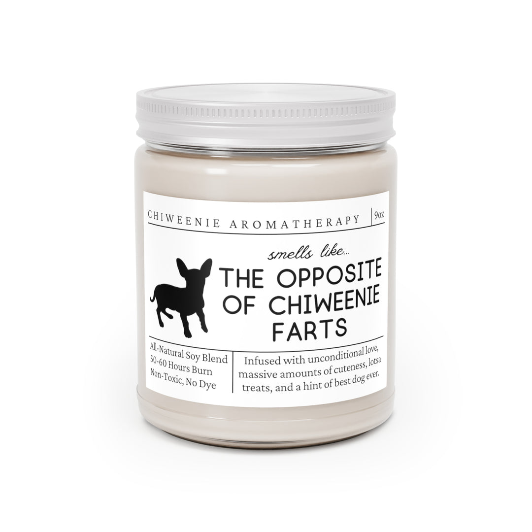 Chiweenie Candle - Smells Like The Opposite Of Chiweenie Farts