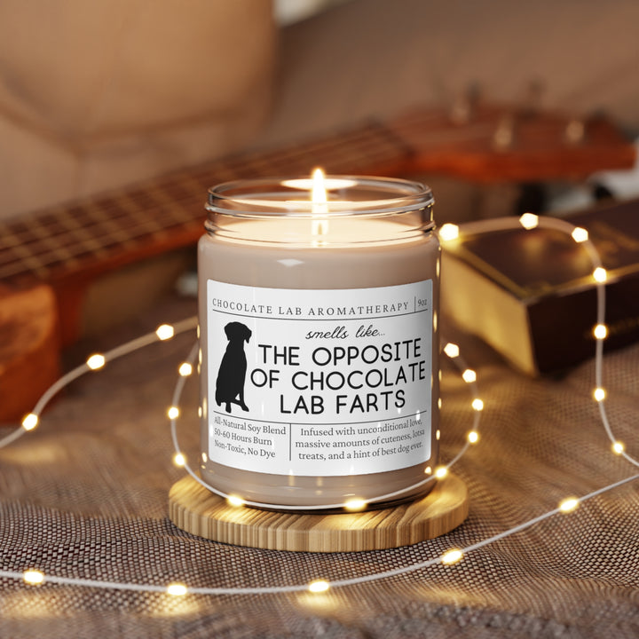 Chocolate Lab Candle - Smells Like The Opposite Of Chocolate Lab Farts