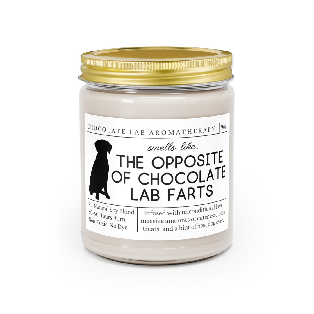 Chocolate Lab Candle - Smells Like The Opposite Of Chocolate Lab Farts