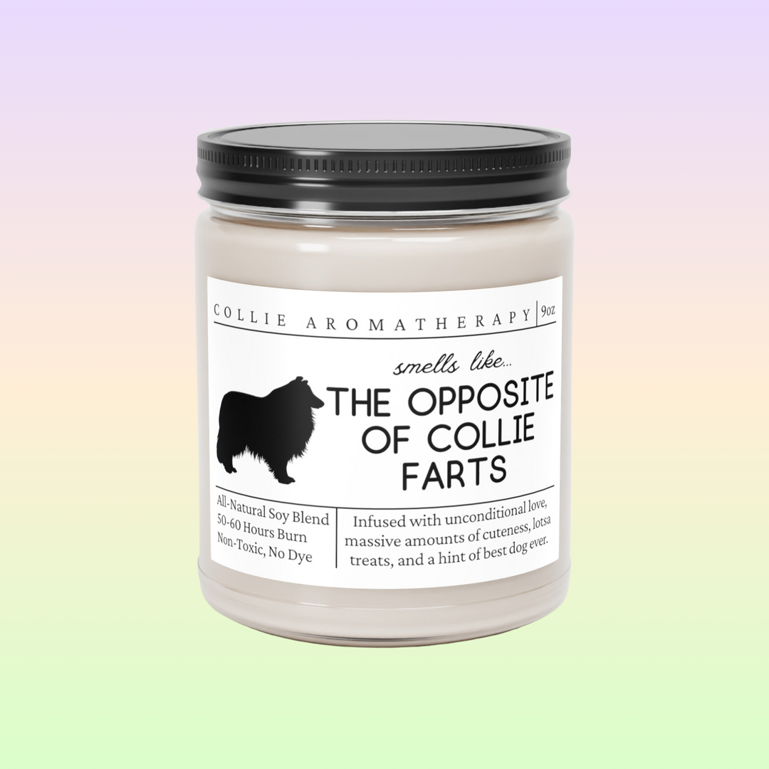 Collie Candle - Smells Like The Opposite Of Collie Farts