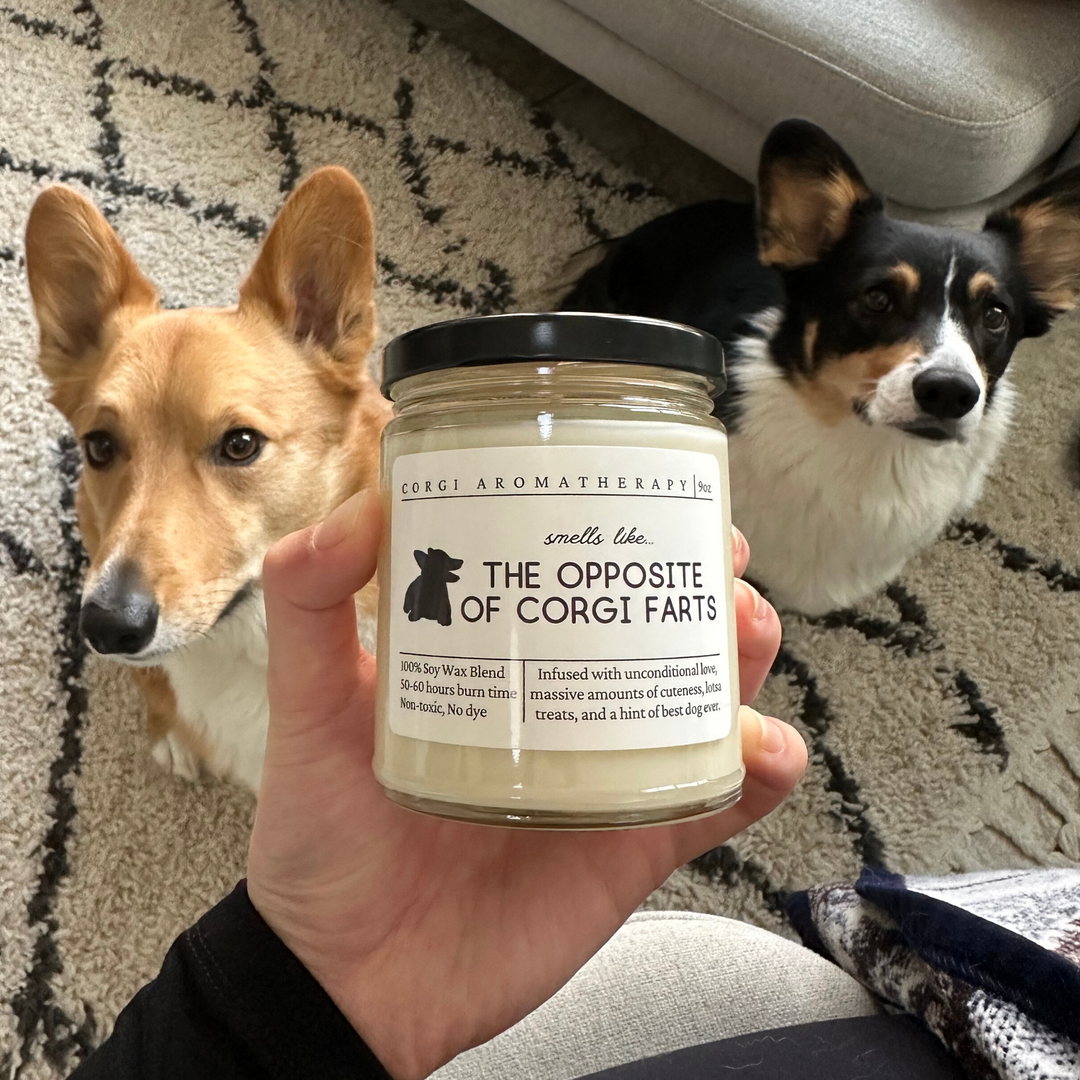 Corgi Candle - Smells Like The Opposite Of Corgi Farts