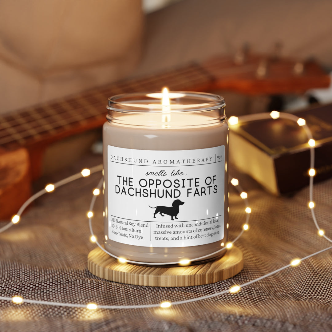 Dachshund Candle - Smells Like The Opposite Of Dachshund Farts