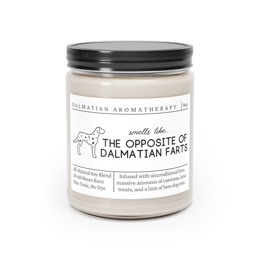 Dalmatian Candle - Smells Like The Opposite Of Dalmatian Farts