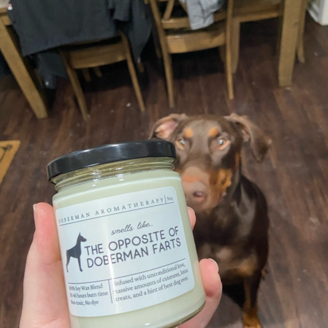 Doberman Candle - Smells Like The Opposite Of Doberman Farts