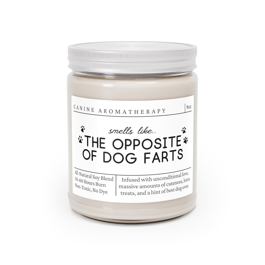 Dog Fart Candle - Smells Like The Opposite Of Dog Farts