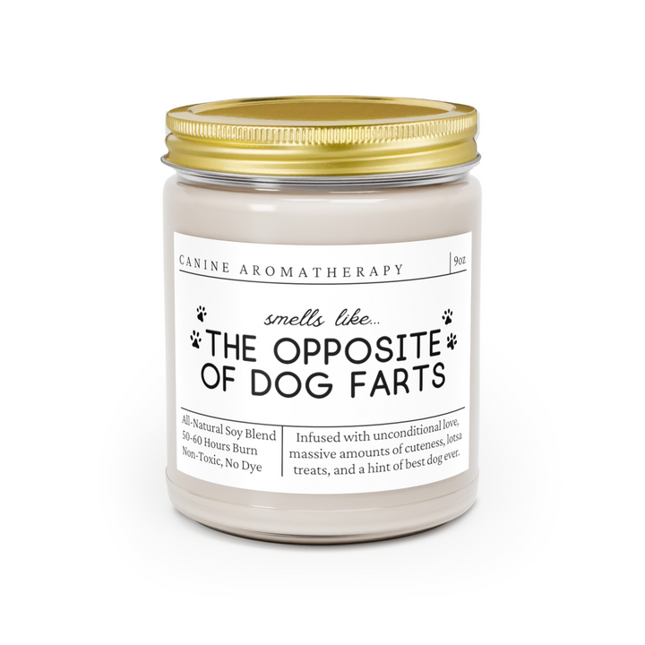 Dog Fart Candle - Smells Like The Opposite Of Dog Farts